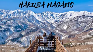 【NAGANO, HAKUBA WINTER】長野白馬白岳