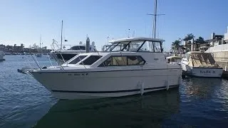 Bayliner 289 Classic by South Mountain Yachts (949) 842-2344
