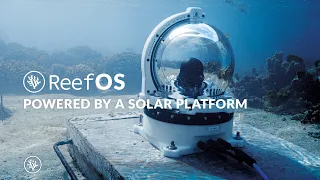 Coral Gardeners' AI Platform - ReefOS, powered by a solar platform