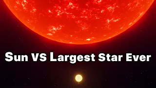 SUN vs. The Largest Star In The Universe