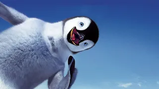 🐧ЖИВОТНЫЕ АНТАРКТИДЫ| |ANIMALS OF ANTARCTICA🐧 РАЗВИВАЮЩЕЕ ВИДЕО