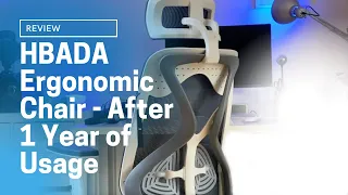 HBADA Ergonomic Office Chair - Review after 1 year of usage | Is it my perfect office chair?