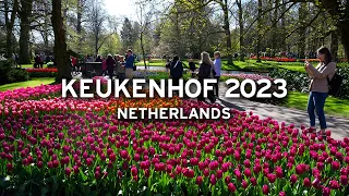 🇳🇱 Keukenhof in April 2023 - Netherlands   [4K]
