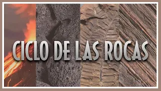 ♻️ CICLO de las ROCAS 🌋 ¿En qué rocas podemos encontrar fósiles?