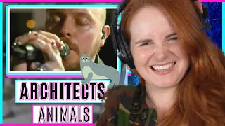 Vocal Coach reacts to Architects - Animals (Live at Abbey Road)