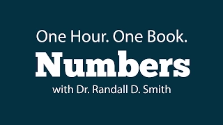 One Hour. One Book: Numbers