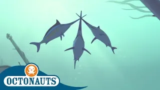 Octonauts - Kwazii Duels the Swordfish | Compilation | Cartoons for Kids