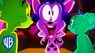 Tom & Jerry | Oompa Loompa and Tuffy the Intern | WB Kids