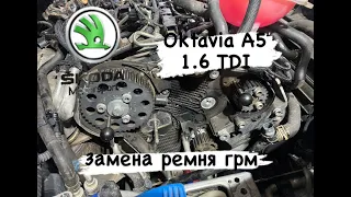 Skoda Oktavia A5 1.6 TDI замена ремня грм