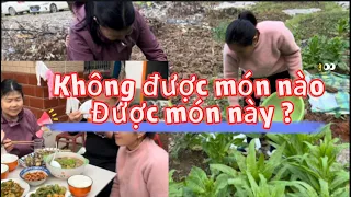 Gom hết rau của mẹ chồng về QUÊ dâu Việt làm ngay món xà lách YÊU THÍCH của mẹ chồng Trung Quốc?