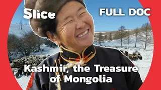Discover Mongolia's Ancestral Art : Cashmere | SLICE | FULL DOCUMENTARY