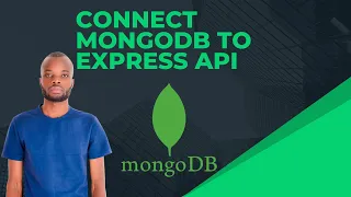 Integrate Mongo DB to Express App