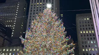 Рождество и Новый Год в США Нью-Йорк 2023