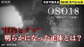 [NHKスペシャル] 追跡！謎のヒグマOSO18の正体 | OSO18 ～ある“怪物ヒグマ”の記録～ | NHK