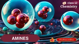 CBSE Class 12 || Chemistry || Amines || Animation || in English