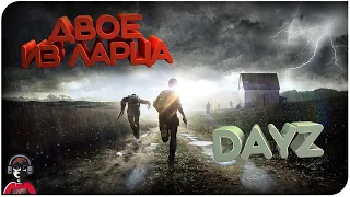 В СЕТИ 🔴 УГАРАЕМ НА ШИЗОФРЕНИЯ PVE 18+ #1 ⭐ DAYZ