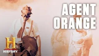 What Is Agent Orange? | History