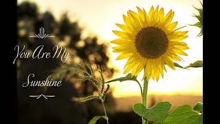 You Are My Sunshine cover