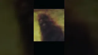 Mississippi Bigfoot Filmed , Best In 50 Years?