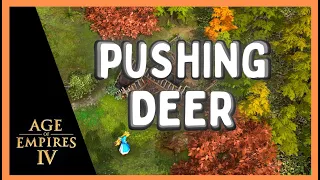 How to PUSH DEER | Age of Empires 4 HINTS and TIPS