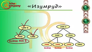 Маркетинг Компании Riches company