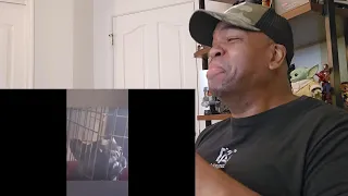Try not to laugh CHALLENGE 53 - by AdikTheOne - Reaction!