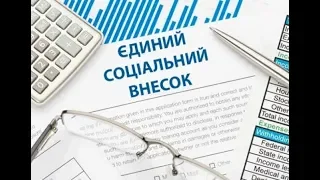 КАК ПРАВИЛЬНО ЗАПОЛНИТЬ ОТЧЕТ ПО ЕСВ с 01.08.2018 года. / ПРИМЕРЫ ЗАПОЛНЕНИЯ ОТЧЕТА ПО ЕСВ