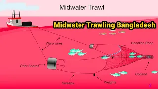 #Midwater #Trawling #Bangladesh. Seafood is Caught Midwater. Midwater Trawl Fishery