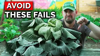 5 Cabbage Growing Mistakes to AVOID