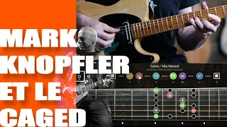 MARK KNOPFLER ET LE CAGED