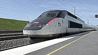 Gare de Champagne-Ardenne TGV - TGV Euroduplex, Réseau, Vigirail, ICE et TER