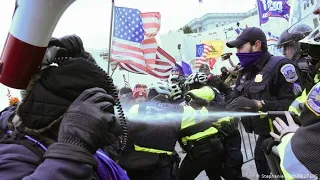 Trump supporters at the Capitol building