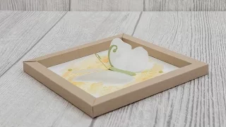 ANLEITUNG - Shadow-Box / Bilderrahmen "Schmetterling" (cm+inch) mit Produkten von Stampin'Up!®