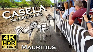Casela Nature Parks, Mauritius in 4K 60fps HDR Dolby Atmos 💖African Safari bus ride and walking tour