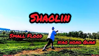 Shaolin-KungFu-Form,,Xiao Hong Quan,,