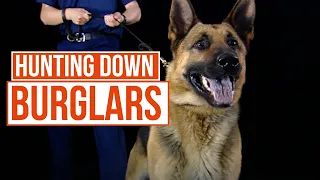 These Dogs Can Smell Fear.. and they're cute too | Send In The Dogs | TCC