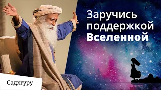 Как жить, чтобы Вселенная поддерживала тебя