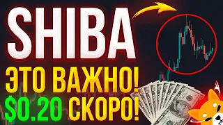 SHIBA: РИОШИ ОБЪЯВИЛ ЧТО ЦЕНА ПОЙДЕТ ДО $0.20!