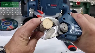 Bosch Pro Pruner / Hilco Armenia