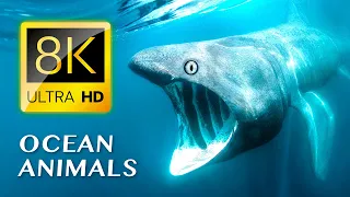 World's Most Beautiful SEA ANIMALS 8K ULTRA HD - #8K for Relaxation & Calming Music