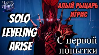 Победил с первой попытки самого "Алого рыцаря Игриса" в игре Solo Leveling Arise