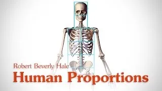 Human Figure Proportions - Cranial Units - Robert Beverly Hale