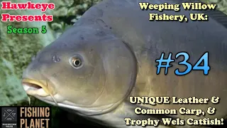 Fishing Planet #34 - S5 | UNIQUE Leather & Common Carp & Trophy Wels Catfish!