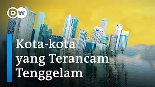 Ini Alasan Kenapa Kota seperti Jakarta Terancam Tenggelam  | #PlanetA