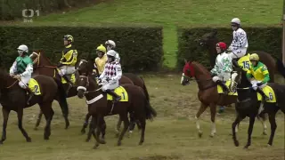 126. Velká pardubická steeplechase - 2016 - HD