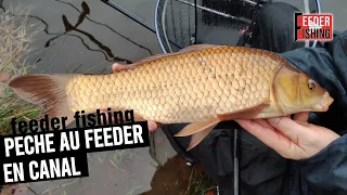 Trucs et astuces pour pêcher au feeder en canal | Episode #3 avec Nicolas Béroud