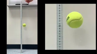 Ball Bounce Lab (energy dissipated in a bounce)
