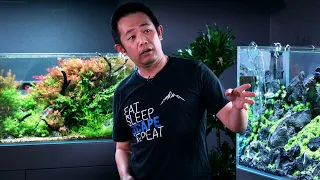 Masterclass: World Champ Josh Sim On Crafting Contest-winning Aquascapes