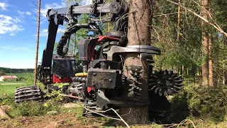 Extreme Dangerous Monster Stump Removal Excavator - Fastest Excavator Chainsaw, Wood Chipper Working