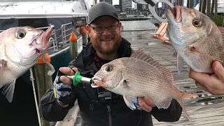 FISHING the most liveable City in the WORLD!  ( Docklands - Melbourne - Australia )